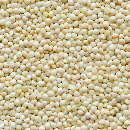 Holistic Bazar Unpolished Kodo Millet | Whole Grains | Kodo Millet Rice (Harka / Varagu / Kodra)