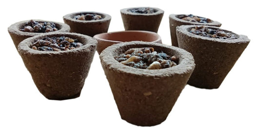 Sambrani Dhoop Cups (15 Pieces) | Organic Sambrani Cup