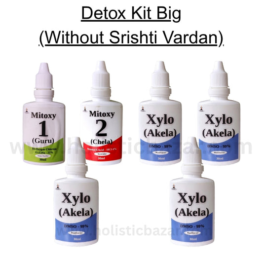 Detoxifier Pack Big (Without Srishti Vardan)