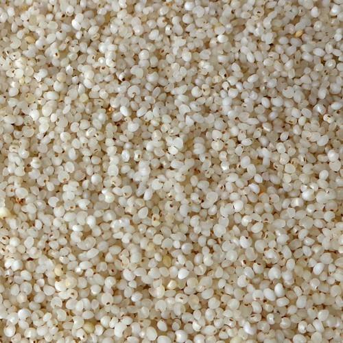 Holistic Bazar Organic Barnyard Millet (Oodalu / Kuthiraivali / Sanwa) | Unpolished Barnyard Millet Grains | 100% Vegan & Gluten Free | Rich in Protein & More Fiber Than Rice |