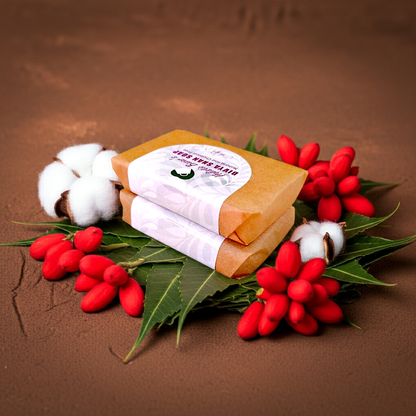 Divya Snan Soap (50 gm) | Handmade Soap