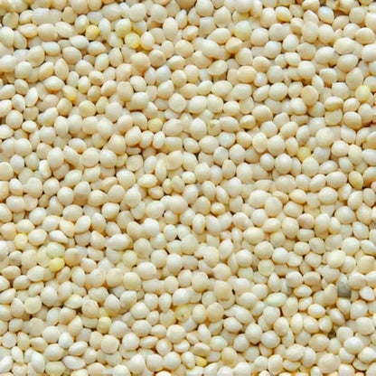 Holistic Bazar Unpolished Kodo Millet | Whole Grains | Kodo Millet Rice (Harka / Varagu / Kodra)