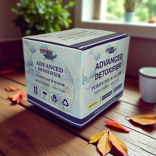 detx bharat detoxifier kit with 2 xylo